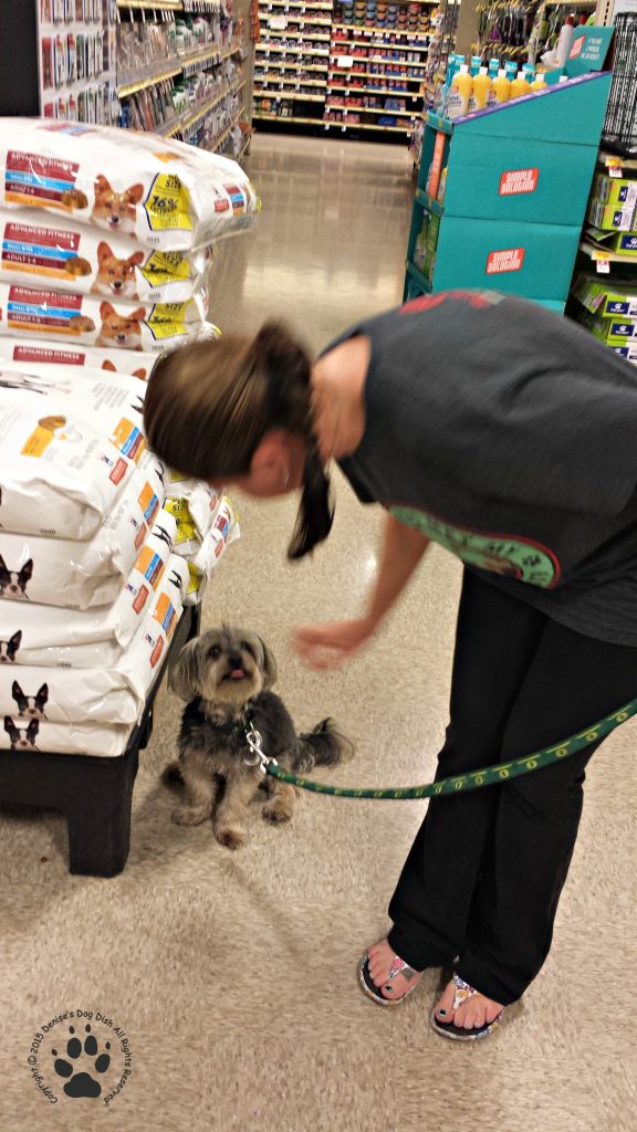 free puppy classes at petsmart rescue journal petsmart dishdog dish free puppy classes at petsmart rescue journal petsmart dishdog dish