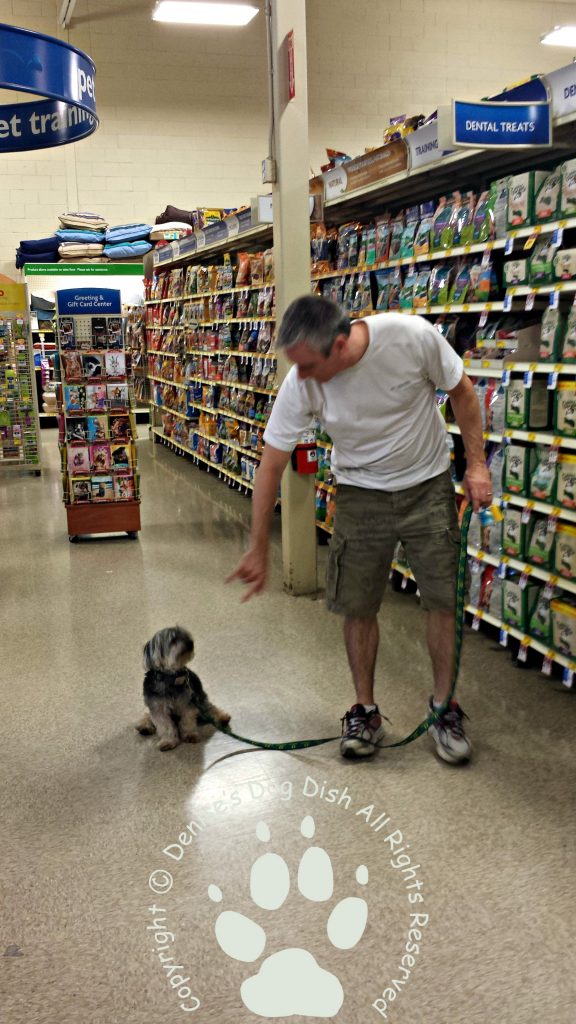 free puppy classes at petsmart rescue journal petsmart gruzenskydenise gruzensky free puppy classes at petsmart rescue journal petsmart gruzenskydenise gruzensky