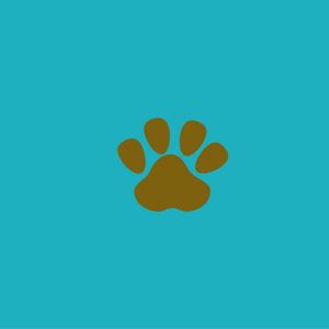 Denise's Dog Dish-Brown Paw