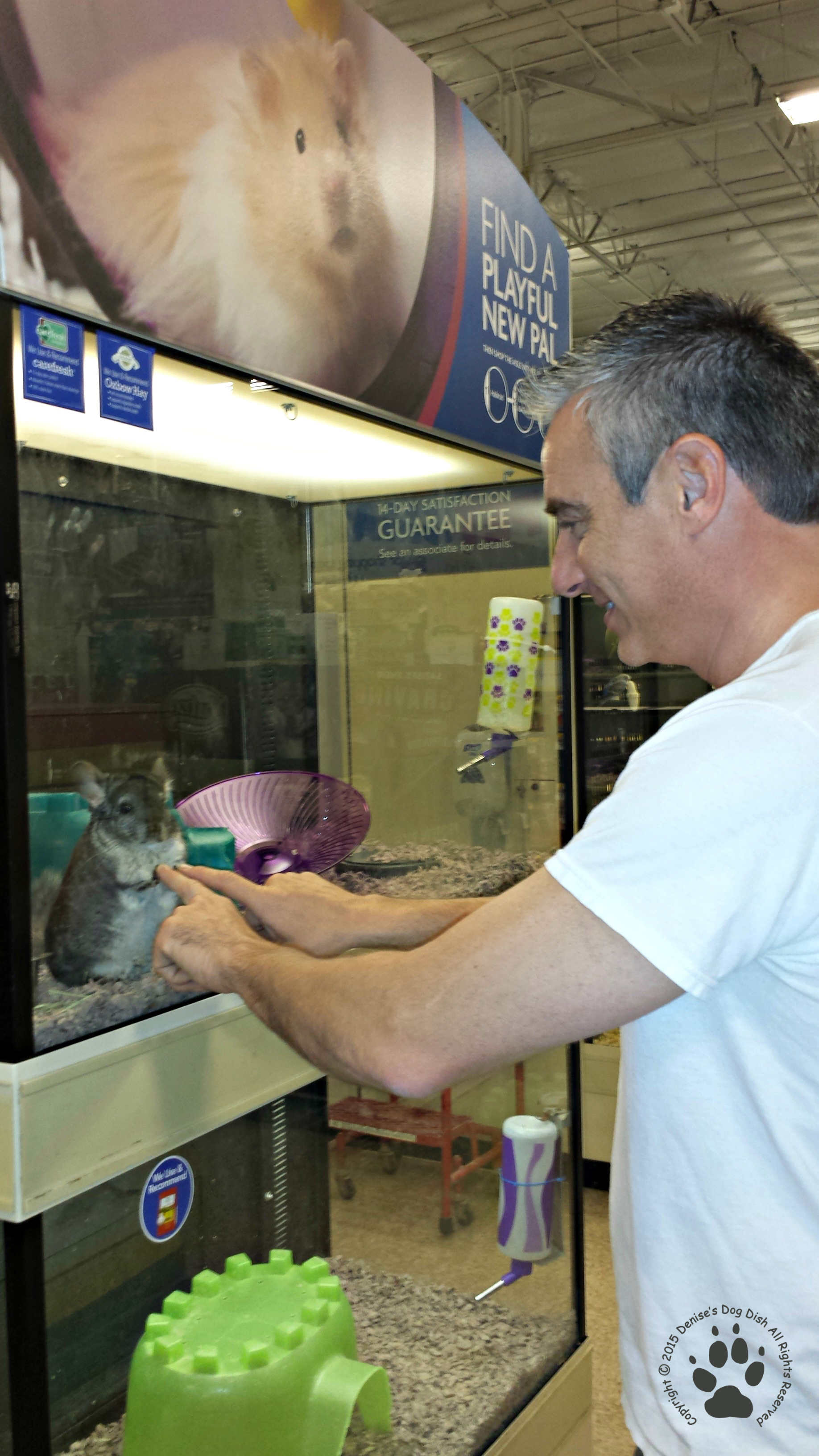 free puppy classes at petsmart rescue journal petsmart s dishdenise s dish free puppy classes at petsmart rescue journal petsmart s dishdenise s dish