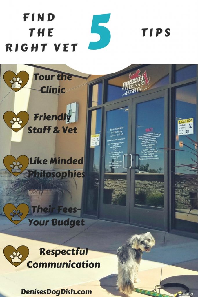 Finding the right vet