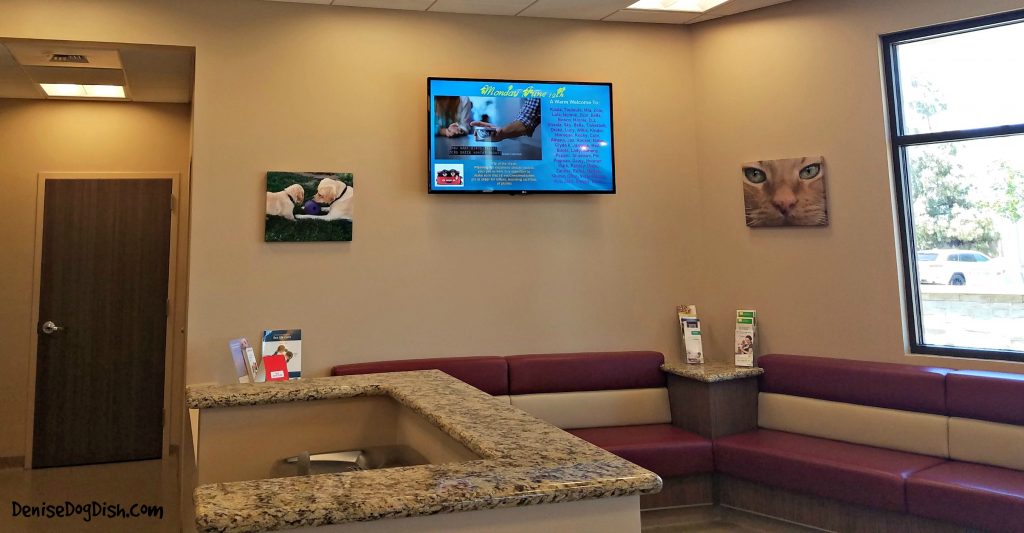 Finding the right vet