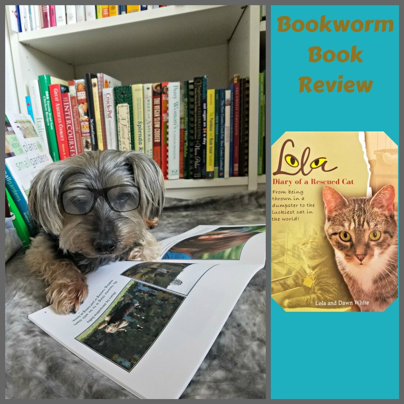 Bookworm Book Review-Lola Diary of a Rescued Cat